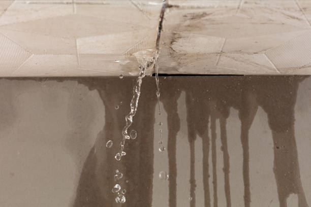 Professional Structural Drying technician working in Townsend, WI